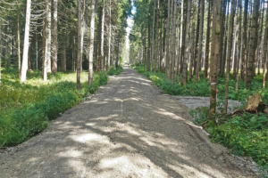 Fichtner Umwelt in Fischbachau: Forstwegpflege und Wegesanierung